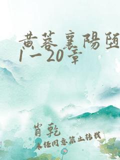 黄蓉襄阳堕落史1一20章