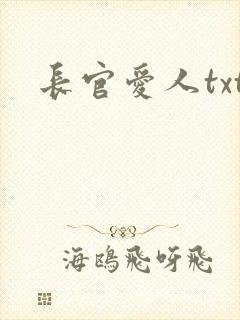 长官爱人txt