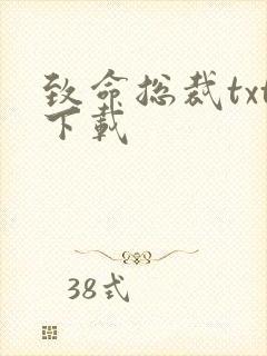 致命总裁txt下载