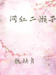 网红二懒子车祸