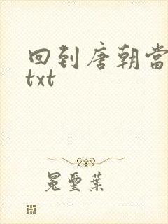 回到唐朝当皇帝txt