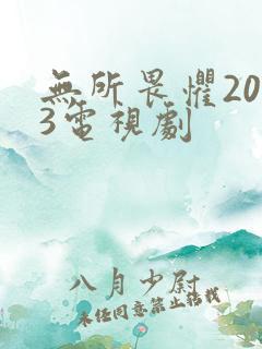 无所畏惧2023电视剧