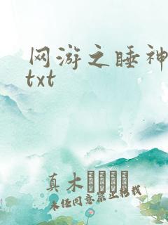 网游之睡神传说txt