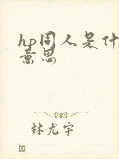 hp同人是什么意思