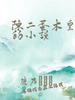 陈二蛋木皇真经的小说