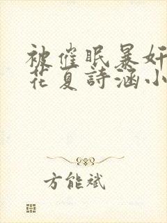 被催眠暴奸的校花夏诗涵小说