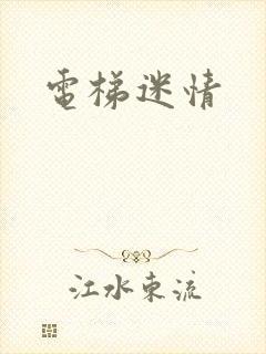 电梯迷情