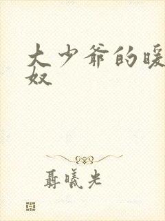 大少爷的暖床小奴