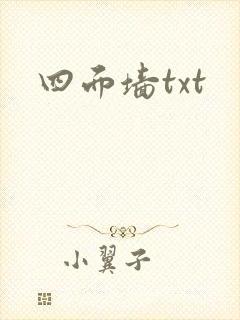 四面墙txt