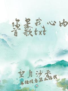 你是我心内的一首歌txt