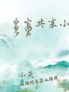 皇家共享小公主多男