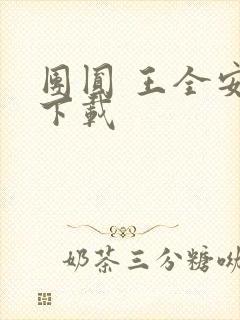 团圆 王全安 下载