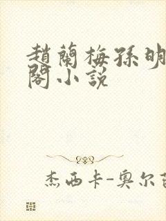 赵兰梅孙明笔趣阁小说