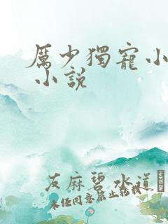 厉少独宠小娇妻 小说