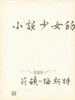 小说少女的心