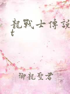 龙战士传说txt