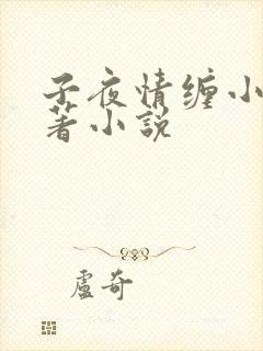子夜情缠小说原著小说