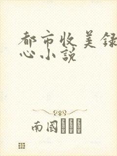 都市收美录宁素心小说
