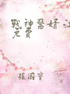 战神医婿 江辰免费