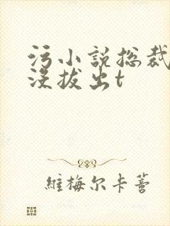 污小说总裁整夜没拔出t