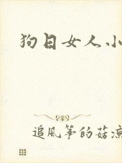 狗日女人小说