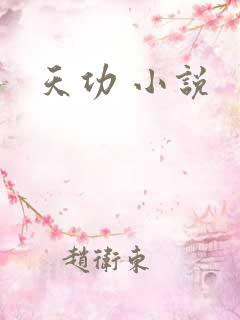 天功 小说
