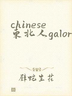 chinese东北人galore