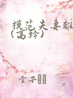 模范夫妻离婚了(高干)