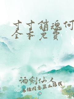 寸寸销魂何生祥全本免费