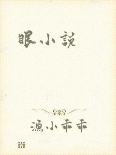 眼小说