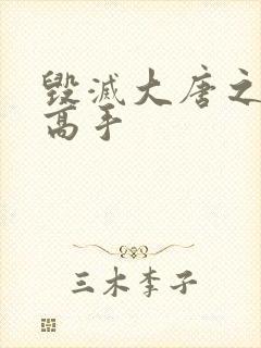 毁灭大唐之异能高手