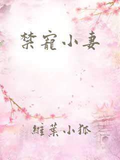 禁宠小妻