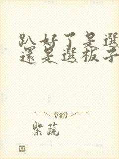 趴好了是选皮带还是选板子