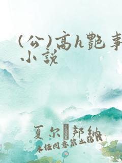 (公)高h艳事小说