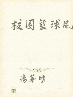 校园篮球风云录