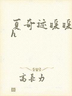 夏奇迹暖暖快穿h