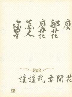 你怎么那么美汪星人花花