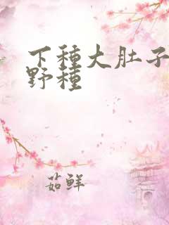 下种大肚子怀孕野种