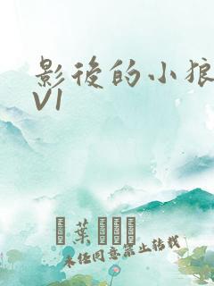 影后的小狼狗1V1