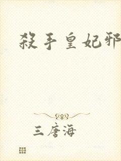 杀手皇妃邪魅帝