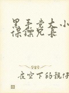 黑手党大小姐和保镖兄长