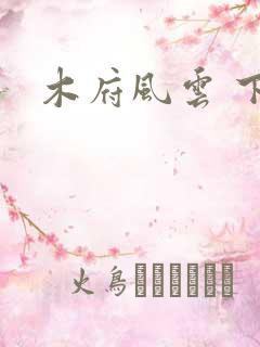 木府风云 下载