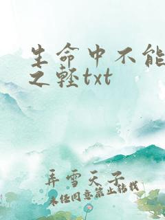 生命中不能承受之轻txt