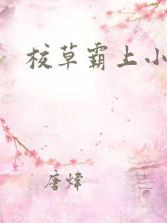校草霸上小丫头
