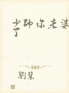 少帅你老婆又跑了