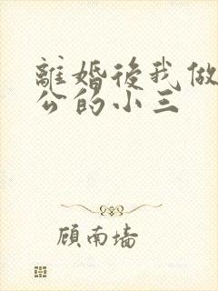 离婚后我做了老公的小三