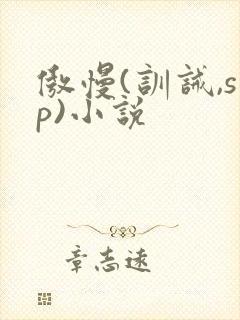 傲慢(训诫,sp)小说