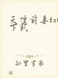 天价前妻txt下载