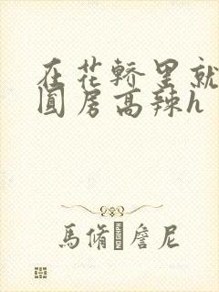 在花轿里就开始圆房高辣h