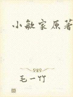 小敏家原著小说